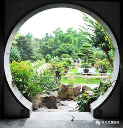 十年磨一剑 匠心耀虎丘——记虎丘山风景名胜区管理处盆景组